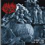 Flame -《Into The Age Of Fire 》[MP3]