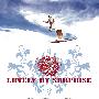 《意外之美》(Lovely by Surprise)[DVDRip]