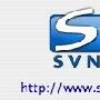 《源码管理器客户端》(Syncro SVN Client )V5.0 [压缩包]