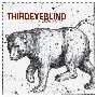 Third Eye Blind -《Ursa Major》[MP3]