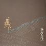 《华夏意匠-中国古典建筑设计原理分析 》扫描版[PDF]