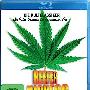 《大麻狂热》(Reefer Madness: The Movie Musical)[BDRip]
