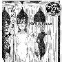 《君色写真》[01-02连载中][漫画][恶魔岛漫画组][压缩包]