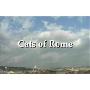 《罗马的猫》(Cats Of Rome)[DVDRip]