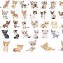 《猫猫狗狗矢量素材》(Dogs&Cats)[压缩包]