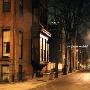 The Ghost Orchid -《The Ghost Orchid》[MP3]