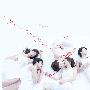 《Last Friends》更新01回/1280x720/外挂字幕[HDTV]