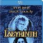 《魔幻迷宫》(Labyrinth)CHD联盟[1080P]