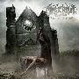 Mantic Ritual -《Executioner 》[MP3]