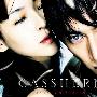 《人造人卡辛》(Casshern)REPACK[DVDRip]