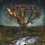 Elements -《Northern Echoes》[MP3]