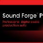 《SONY专业数字音频处理软件》(SONY Sound Forge )V10 Professional[压缩包]