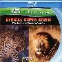 《非洲超级七兽》(Africas Super Seven)[BDRip]