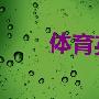 《体育英语资料合集，持续不间断更新（含有视频，文档及音频资料）》(Sports  English  )ISO,MP3,PDF,TXT