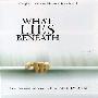 Alan Silvestri -《危机四伏》(What Lies Beneath)[MP3]