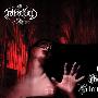 Netherbird -《The Ghost Collector》[MP3]