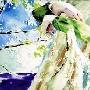 高木正胜(Takagi Masakatsu) -《Air's Note》专辑[MP3]