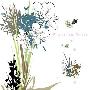 Various Artist -《Beautiful Field》专辑[MP3]