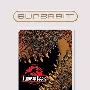 《侏罗纪公园》(Jurassic Park )侏罗纪公园1   未删节 国语版[RMVB]