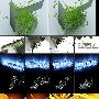 《印象3ds Max After Effects影视包装技术精粹II》(无)第二版[压缩包]