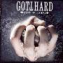 Gotthard -《Need To Believe》[MP3]