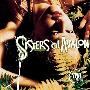 Cyndi Lauper -《Sisters of Avalon》[MP3]