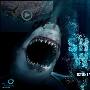 《探索频道：鲨鱼周 2009》(Discovery Channel: Shark Week )更新第2集[HDTV]