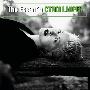 Cyndi Lauper -《The Essential》[MP3!]