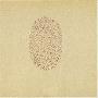 Devendra Banhart -《Nino Rojo》[MP3!]