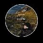 Feist -《Let It Die》320k[MP3!]