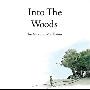 Malcolm Middleton -《In the Woods》[MP3!]