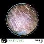 《West One鼓乐素材》(West.One.Drumming.Percussion.And.Kit.CDDA)[Bin]