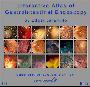 《胃肠道内窥镜互动图集》(Interactive Atlas of Gastrointestinal Endoscopy)[ISO]