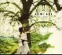 KOTOKO -《硝子の靡風》2nd Album(with all booklets)[MP3!]