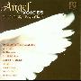 The St Philips Boy s Choir -《天使之音》(Angel Voices)更新至第二辑[APE]