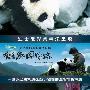 《熊猫团圆路》(Trail Of The Panda)国粤双语[HALFCD]