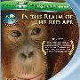 《狂野亚洲：赤猿的领地》(Wild Asia 1 In the Realm of the Red Ape)[720P]