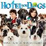 原声大碟 -《流浪狗之家》(Hotel for Dogs)[MP3]