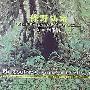 Phil Coulter -《绿野仙踪》(Walking in The Green Field)[APE]