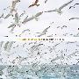 Dylan Mondegreen -《The World Spins On》[MP3]