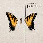 Paramore -《Brand New Eyes》Deluxe Version iTunes LP[AAC]