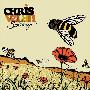 Chris Velan -《Solidago》[MP3]