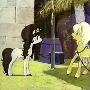 《勇敢的伊科》(Ico, the brave horse)1981 阿根廷动画[DVDRip]