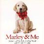 Theodore Shapiro -《玛丽和我》(Marley & Me )[APE]