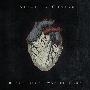 Alice In Chains -《Black Gives Way To Blue》[FLAC]