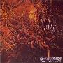 Carnage -《Dark Recollections》[MP3]