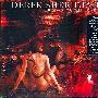 Derek Sherinian -《Blood Of The Snake》