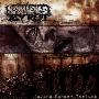 Spawned by Rot -《Beyond Random Torture》Self Released[MP3]