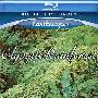 《世界上最美丽的地方：奥林匹克热带雨林》(Living Landscapes Olympic Rainforest)[BDRip]