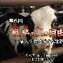 《[道兰][NHK纪录片]日本的群像-东山再起的20年》[TVRip]